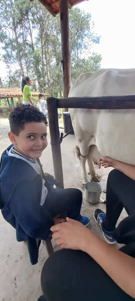 Bicho Mania 2022